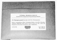 Image Associated With the Occurence